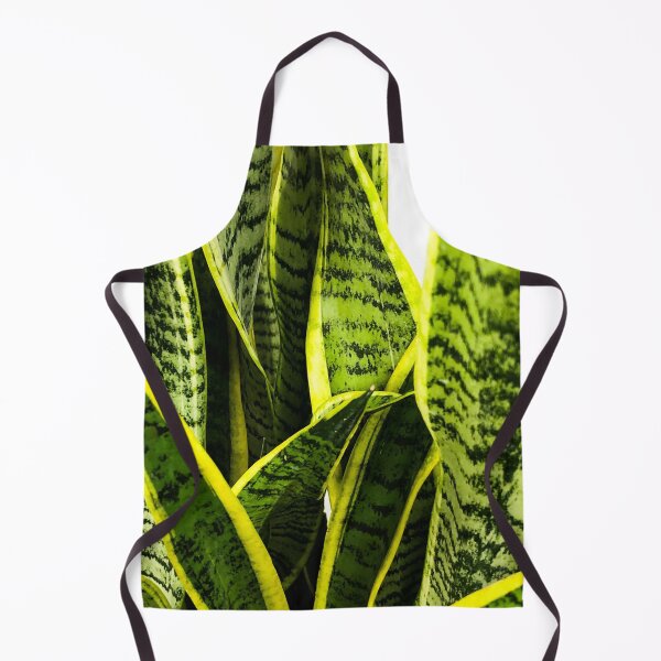 Item preview, Sansevieria snake plant designed and sold by Asiantiger247.
