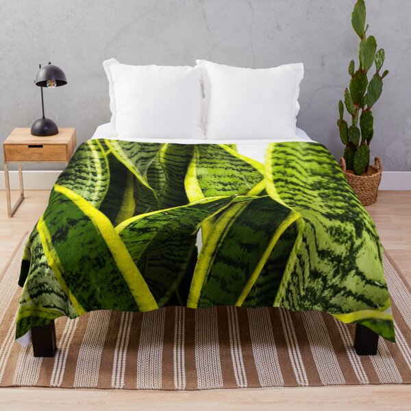 Item preview, Sansevieria snake plant designed and sold by Asiantiger247.