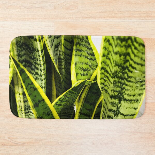 Item preview, Sansevieria snake plant designed and sold by Asiantiger247.