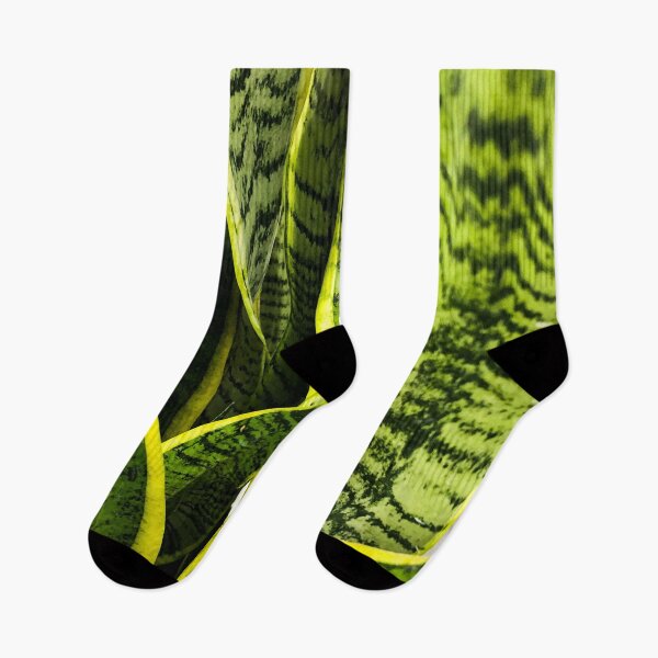 Item preview, Sansevieria snake plant designed and sold by Asiantiger247.