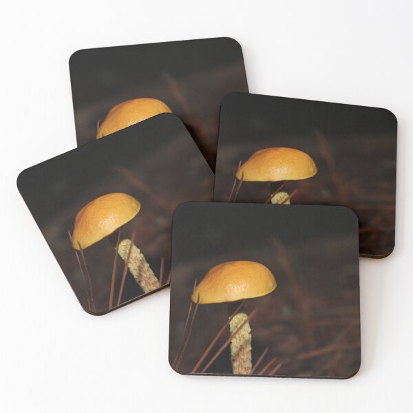 Item preview, Reflecting designed and sold by aprilann.
