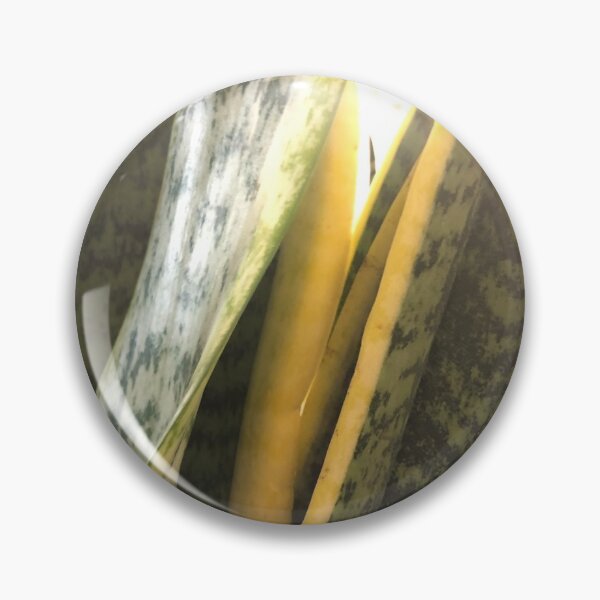 Item preview, Sansevieria snake plant designed and sold by Asiantiger247.