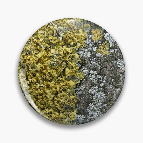 Item preview, Moss designed and sold by WonderBubbles.