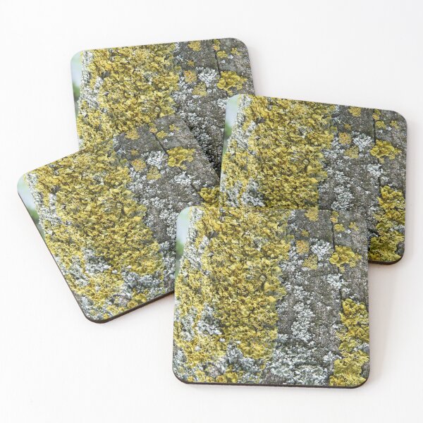 Item preview, Moss designed and sold by WonderBubbles.