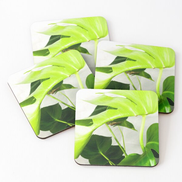 Item preview, Monstera deliciosa plant designed and sold by Asiantiger247.