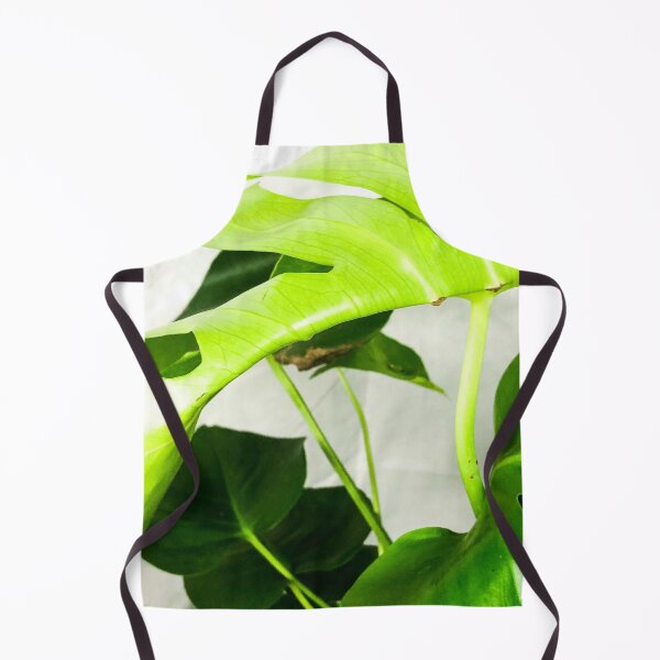 Item preview, Monstera deliciosa plant designed and sold by Asiantiger247.