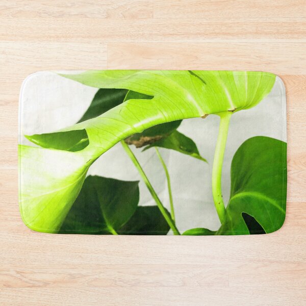Item preview, Monstera deliciosa plant designed and sold by Asiantiger247.