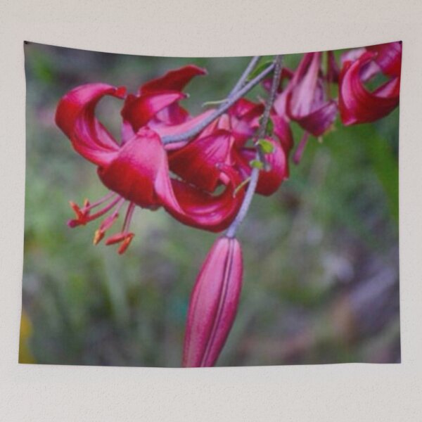 Item preview, Crimson Tiger Lily designed and sold by Asiantiger247.