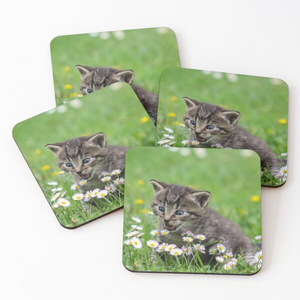 Item preview, Cute Adorable Kittens #5 designed and sold by WizardsWorld.