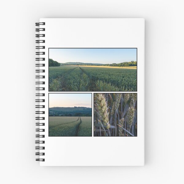 Item preview, Wheat Field Triptych Photograph designed and sold by PJPDesigns.