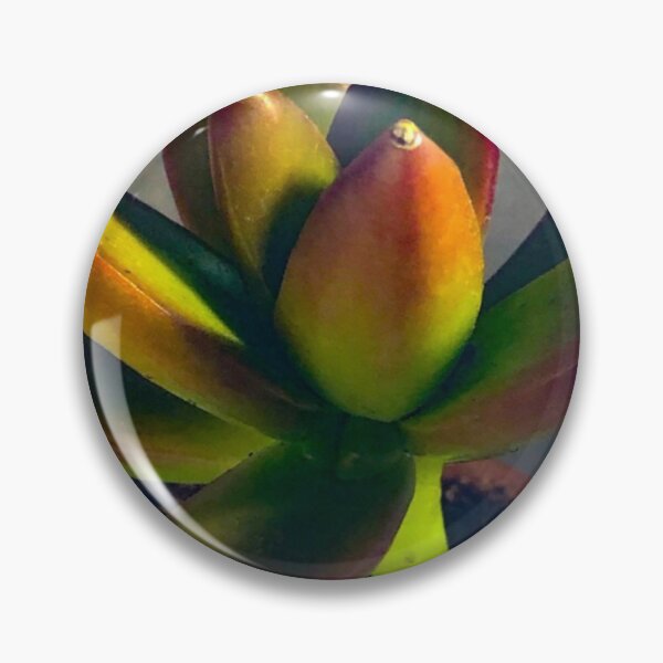 Item preview, Graptoveria Succulent Plant designed and sold by Asiantiger247.