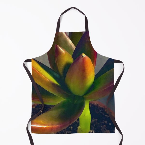Item preview, Graptoveria Succulent Plant designed and sold by Asiantiger247.