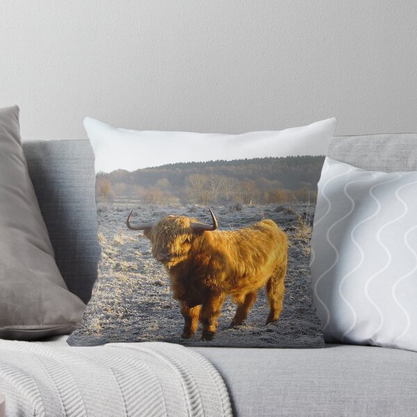 Item preview, Galloway Cow designed and sold by WonderBubbles.