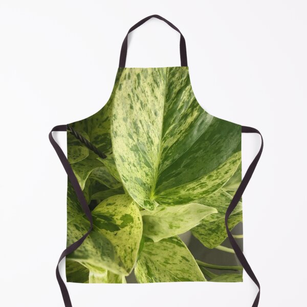 Item preview, Marble queen pothos designed and sold by Asiantiger247.