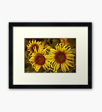 “I love you as certain dark things are to be loved, in secret, between the shadow and the soul.” ― Pablo Neruda, 100 Love Sonnets-Got 3 Featured work:) Framed Print