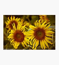 “I love you as certain dark things are to be loved, in secret, between the shadow and the soul.” ― Pablo Neruda, 100 Love Sonnets-Got 3 Featured work:) Photographic Print