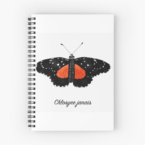 Item preview, Crimson Patch Butterfly Specimen designed and sold by JillyBeanDesign.