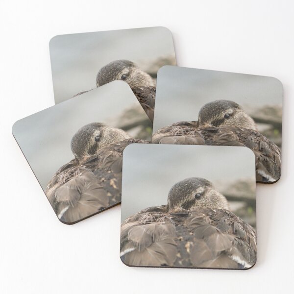 Item preview, Resting mallard duck designed and sold by wildlifesoup.