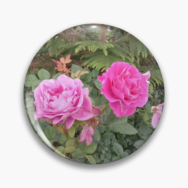 Item preview, pink and red roses at my garden designed and sold by basitcv.