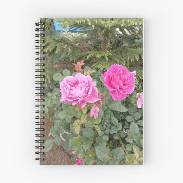 Item preview, pink and red roses at my garden designed and sold by basitcv.
