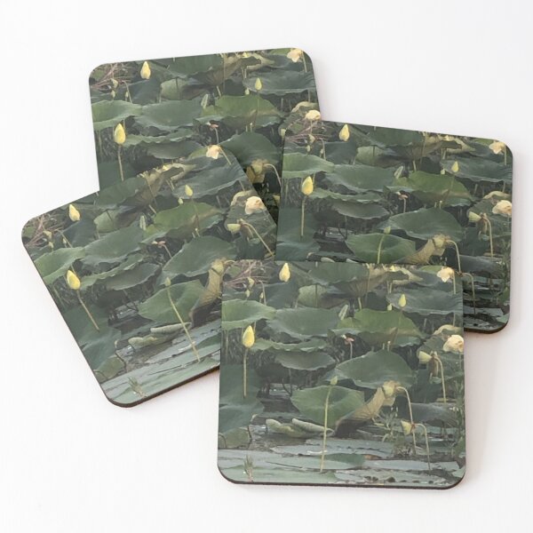 Item preview, Lotus pond designed and sold by Asiantiger247.