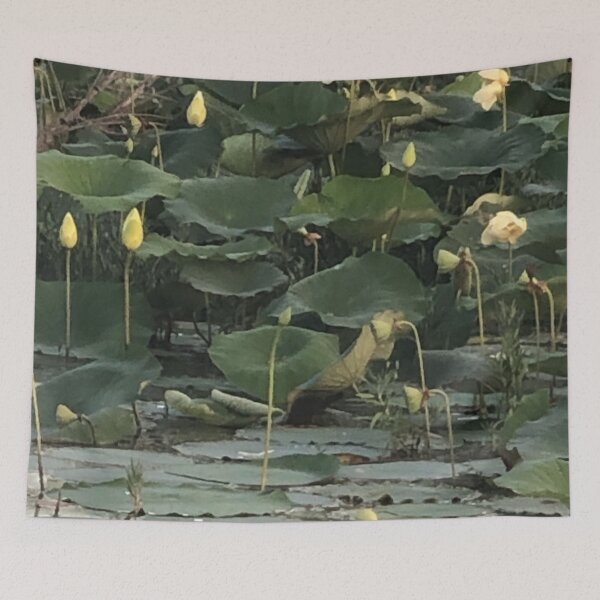 Item preview, Lotus pond designed and sold by Asiantiger247.