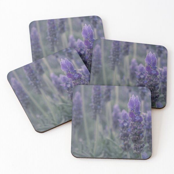 Item preview, lavender designed and sold by amfphotography.
