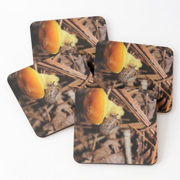Item preview, Lunch! designed and sold by aprilann.