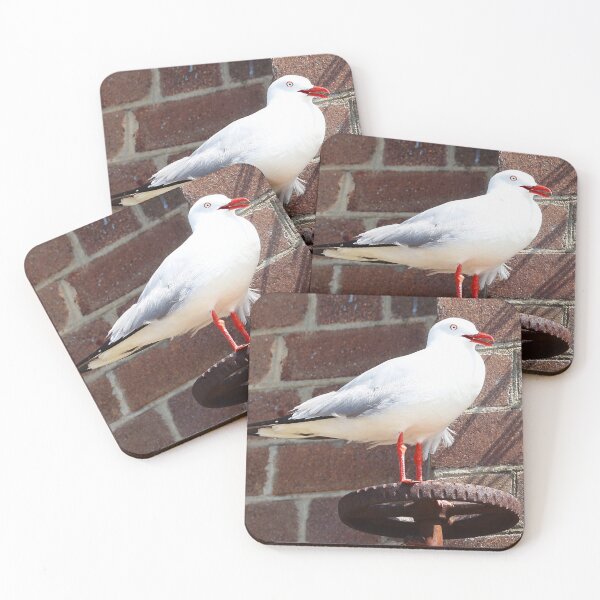 Item preview, Seagull sitting on a rusty valve designed and sold by NJH110.