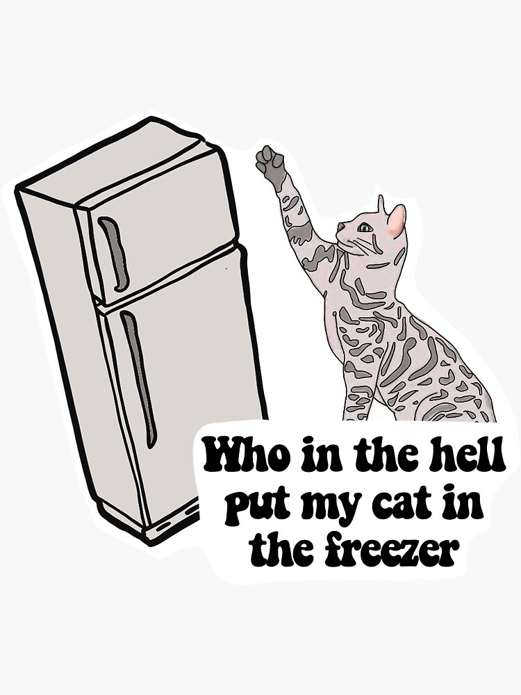 who-in-the-hell-put-my-cat-in-the-freezer-sticker-for-sale-by