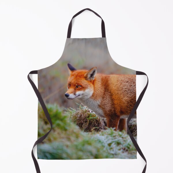 Item preview, Red Fox designed and sold by Dalyndigital Photography.