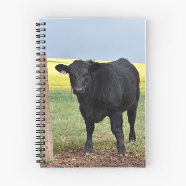 Item preview, Angus calf designed and sold by Ally Peter.