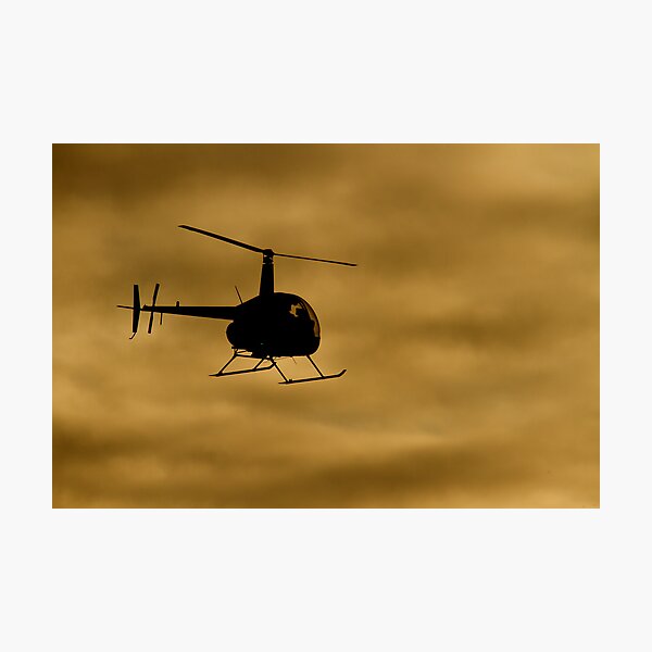 late arrival Photographic Print