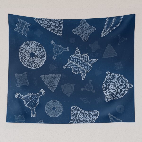 Item preview, Diatoms - microscopic sea life designed and sold by cjnconway.