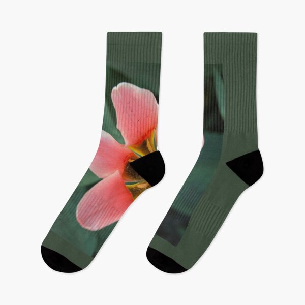 Item preview, Open Tulip  designed and sold by hawkie.