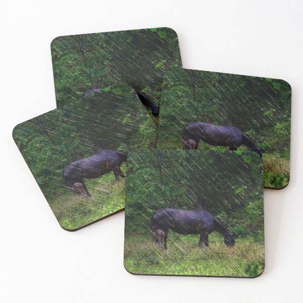 Item preview, Caballos bajo la lluvia en Bocas del Toro, Panamá designed and sold by alabca.
