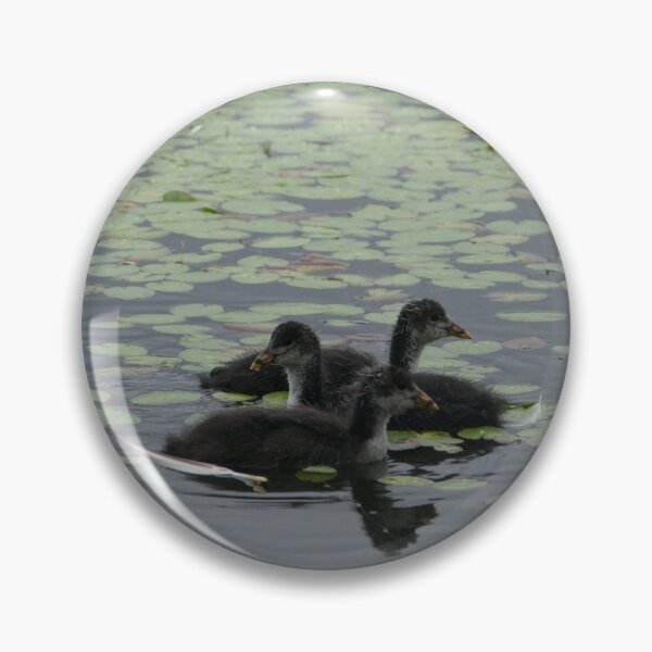 Item preview, Synchronised swimming designed and sold by wildlifesoup.
