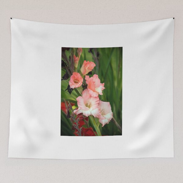 Item preview, Gladioli designed and sold by hawkie.