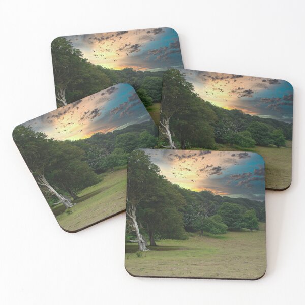 Item preview, Sheringham Park, Norfolk. designed and sold by David Vincent.