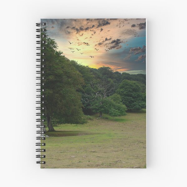 Item preview, Sheringham Park, Norfolk. designed and sold by David Vincent.