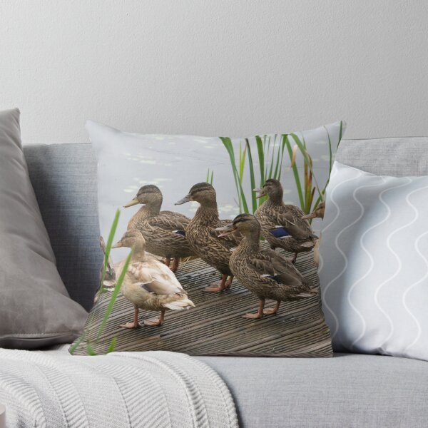 Item preview, Swimming lesson designed and sold by wildlifesoup.