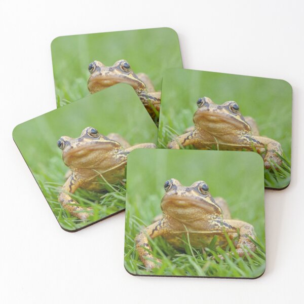 Item preview, Frog Looking for his Princess on the lawn designed and sold by Dalyndigital Photography.