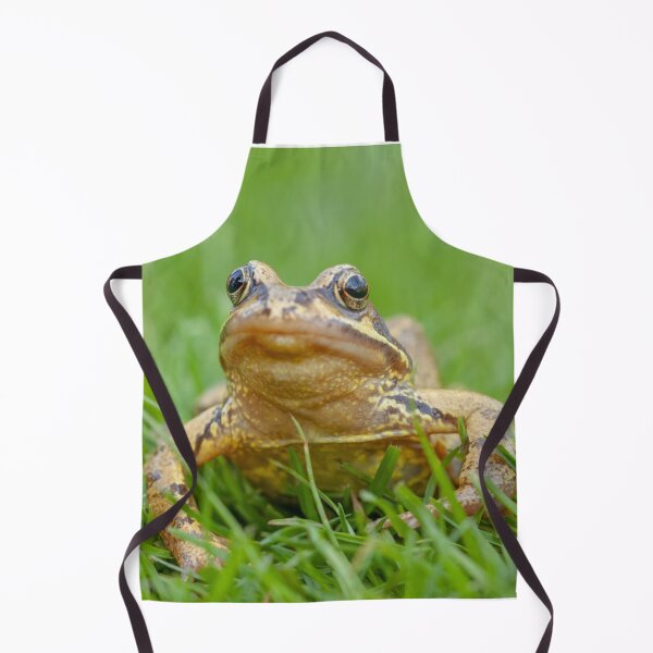 Item preview, Frog Looking for his Princess on the lawn designed and sold by Dalyndigital Photography.