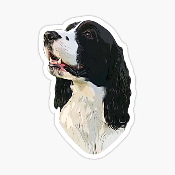 Decal AKC Registered Dog Breed ENGLISH SPRINGER SPANIEL Love My  Vinyl Sticker 