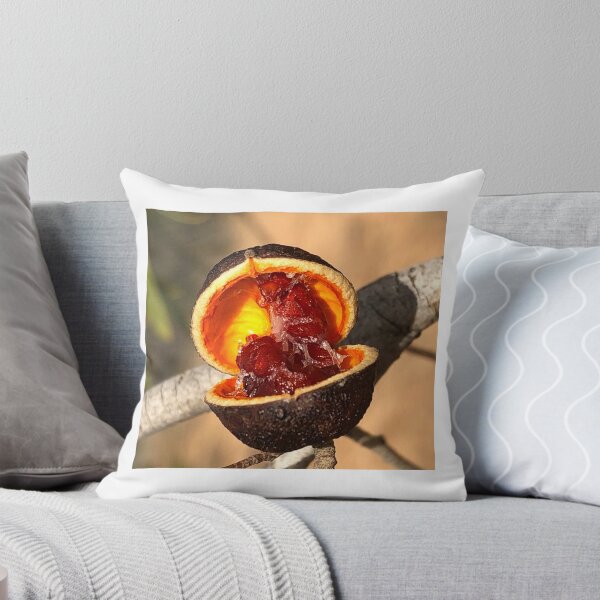 Item preview, Seed pod - Murray Sunset NP Mallee designed and sold by yvonne hyland.