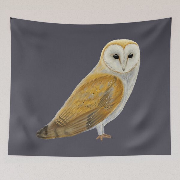 Item preview, Barn owl illustration designed and sold by Milanicole.