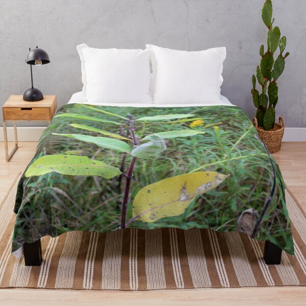 Item preview, Milkweed Plant with Pod designed and sold by Susie Kramer.