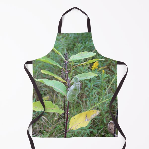 Item preview, Milkweed Plant with Pod designed and sold by Susie Kramer.