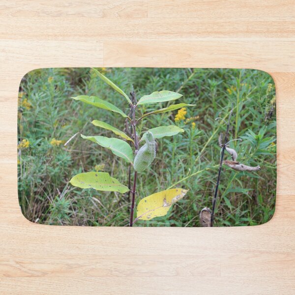 Item preview, Milkweed Plant with Pod designed and sold by Susie Kramer.