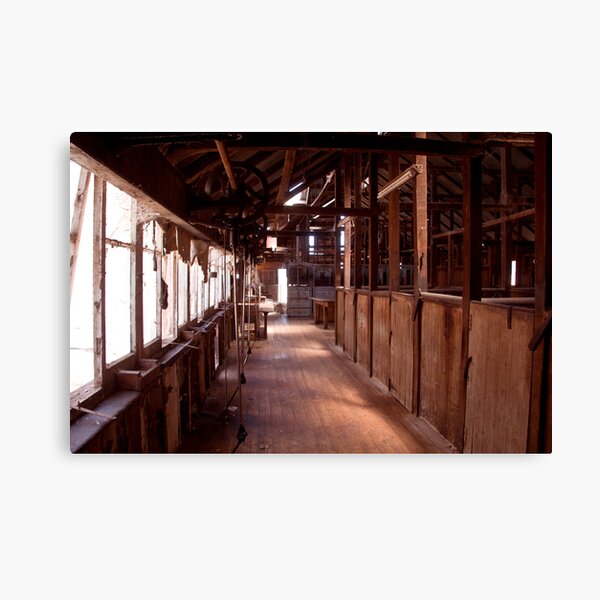 Quiet Shearing Shed Canvas Print